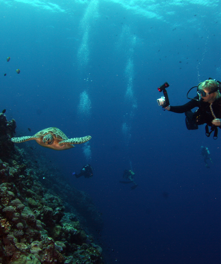 buceo isla catalina